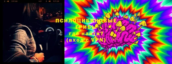 сатива Аркадак