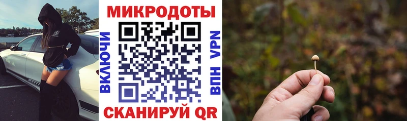 Купить закладки  Торопец  Псилоцибиновые грибы GOLDEN TEACHER 